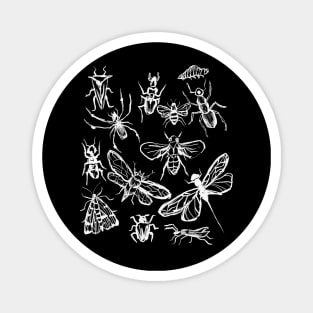 Insect Bugs Collage Vintage Witchy Hand Drawn Magnet